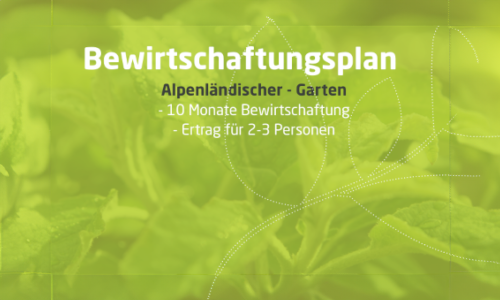 Ihr Anbauplan für einen Alpenländischen Garten