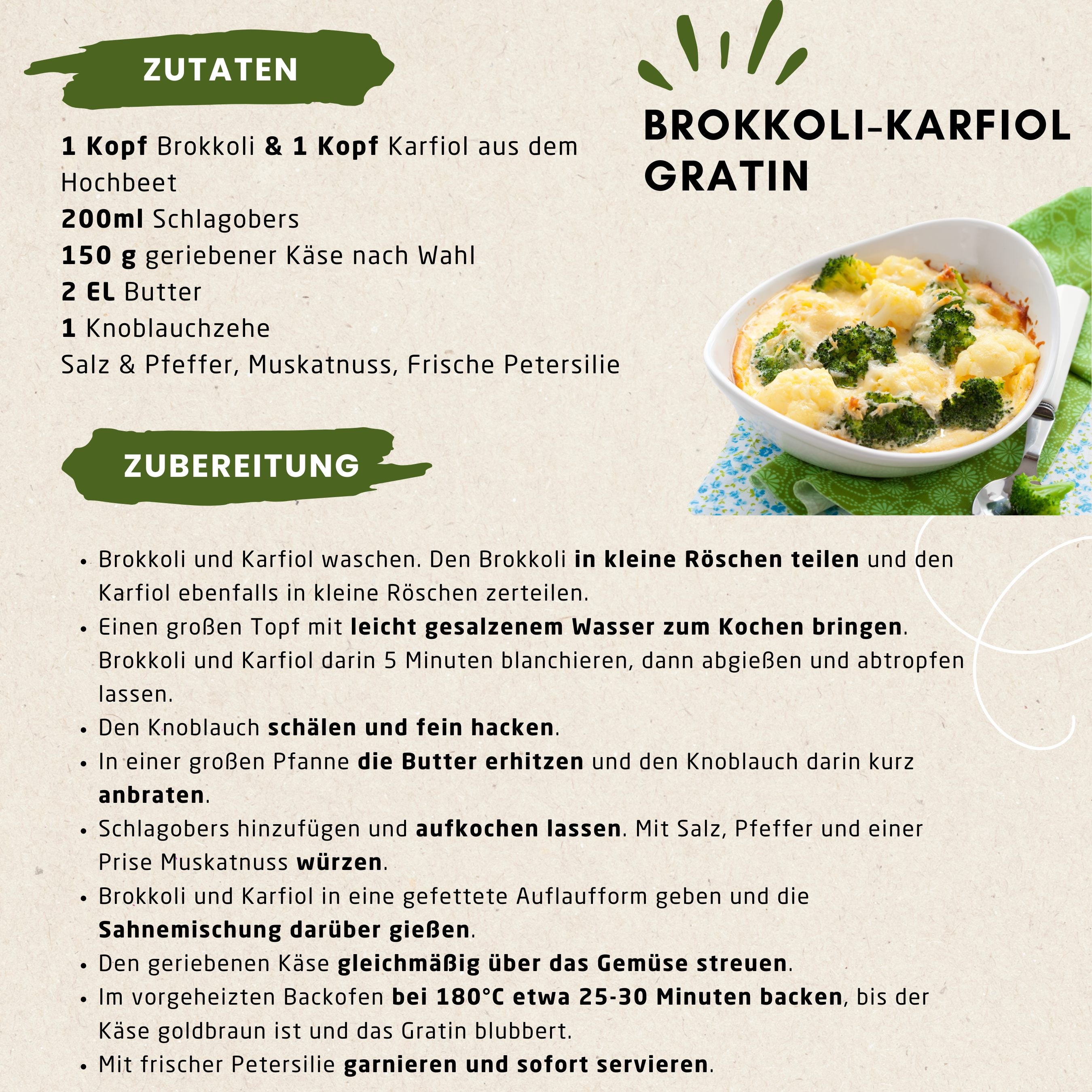 Grüne Power: Selbstgemachtes Gratin aus dem eigenen Garten 🌿