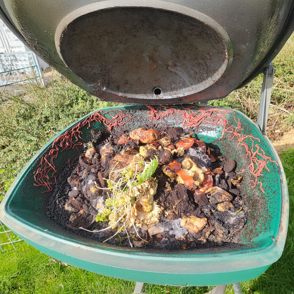 Detailaufnahme Schnellkomposter geöffnet