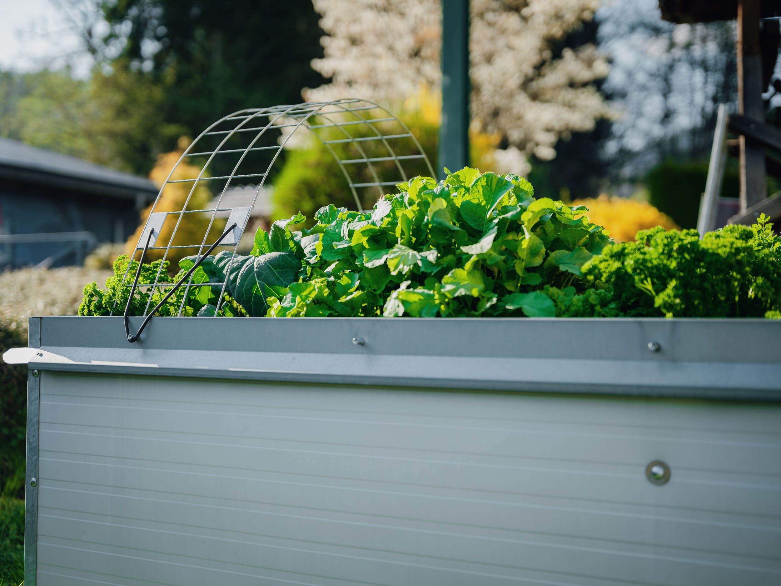 Raised bed set "cold frame"