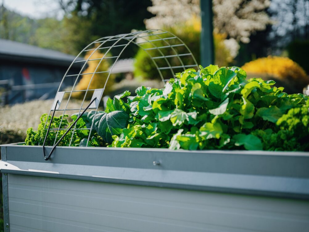 Raised bed set "cold frame"