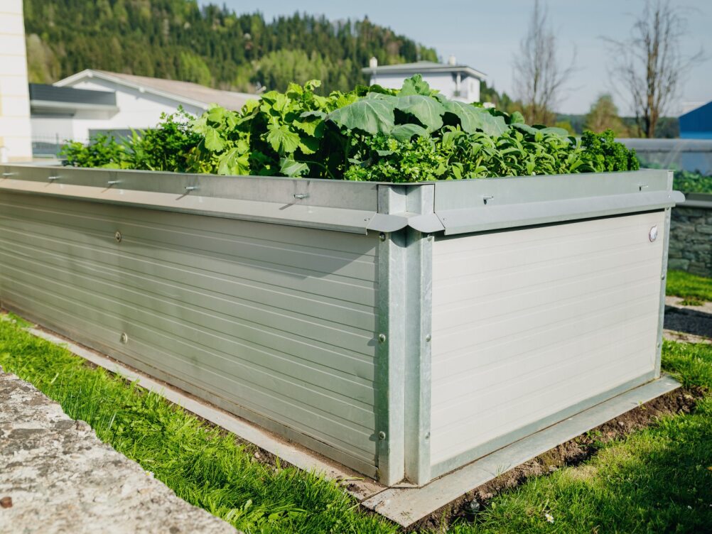 Raised bed set “Basic”