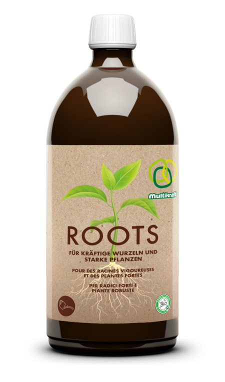 Roots Multikraft
