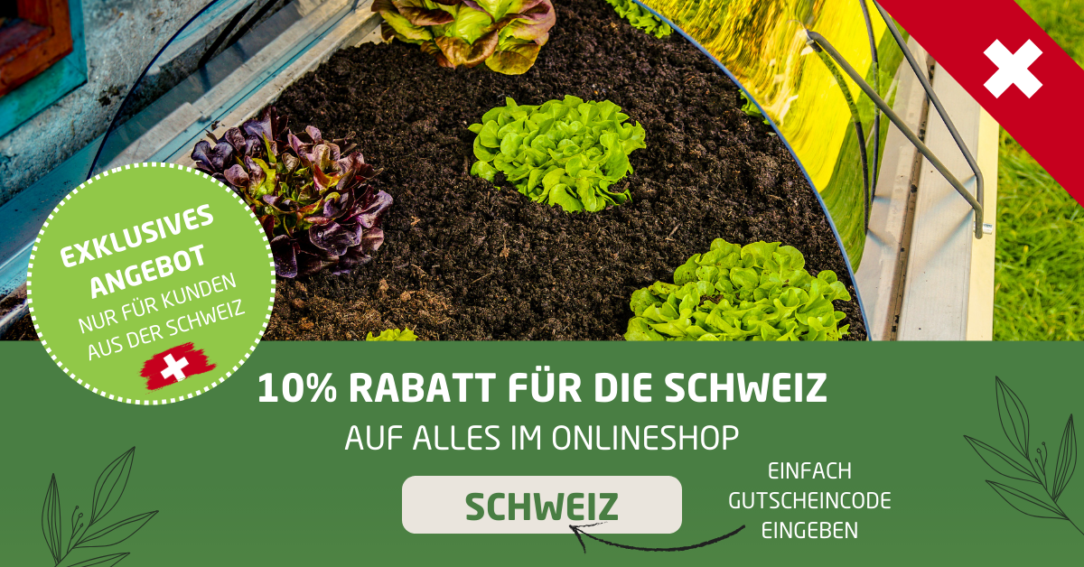 Banner Schweiz 10% Rabatt im Onlineshop