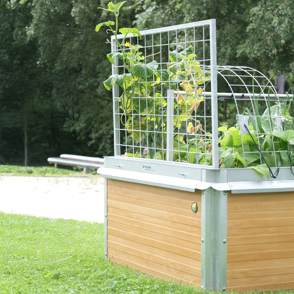 Gurken Rankhilfe am Hochbeet