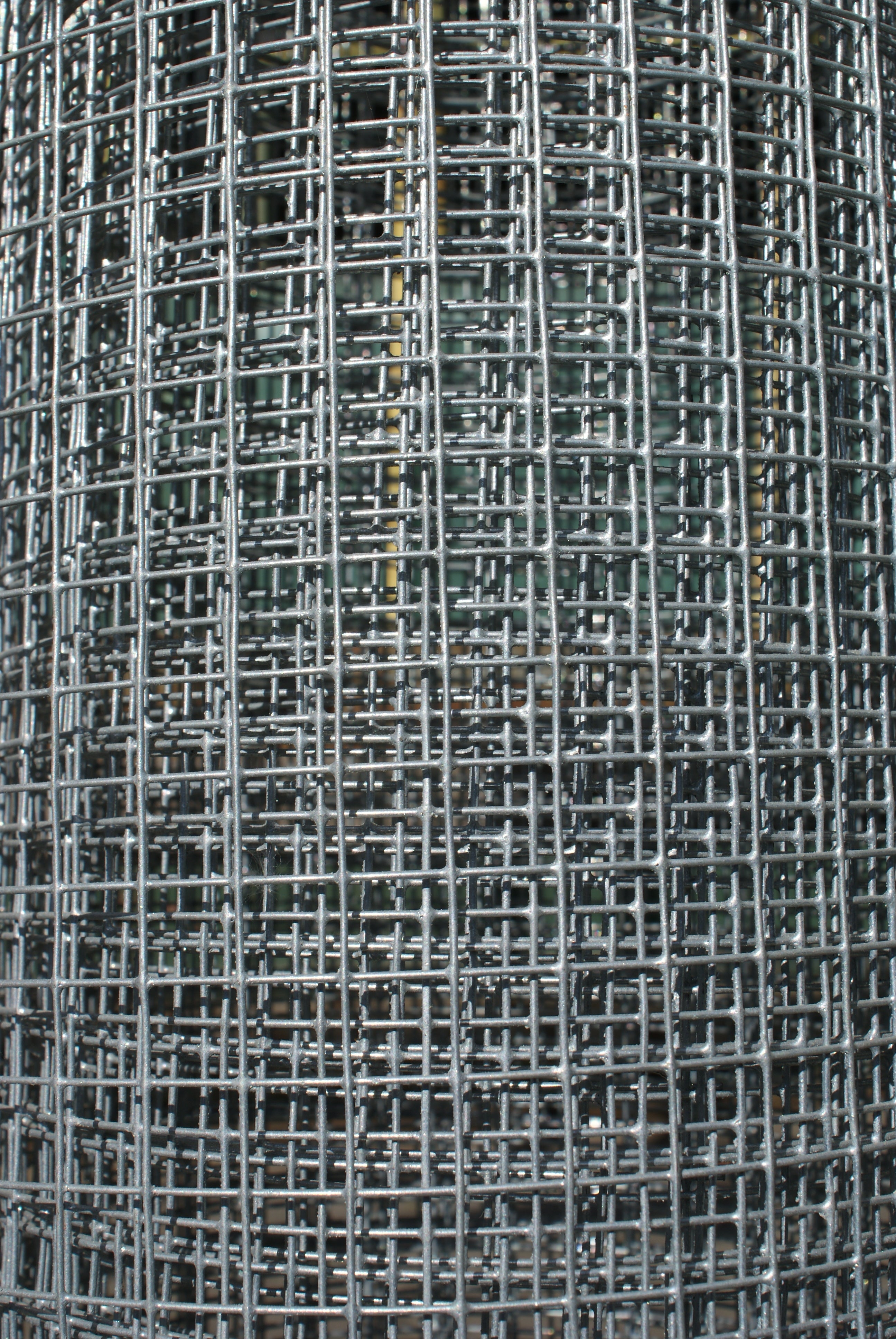 Vole grid for tomato house Julia