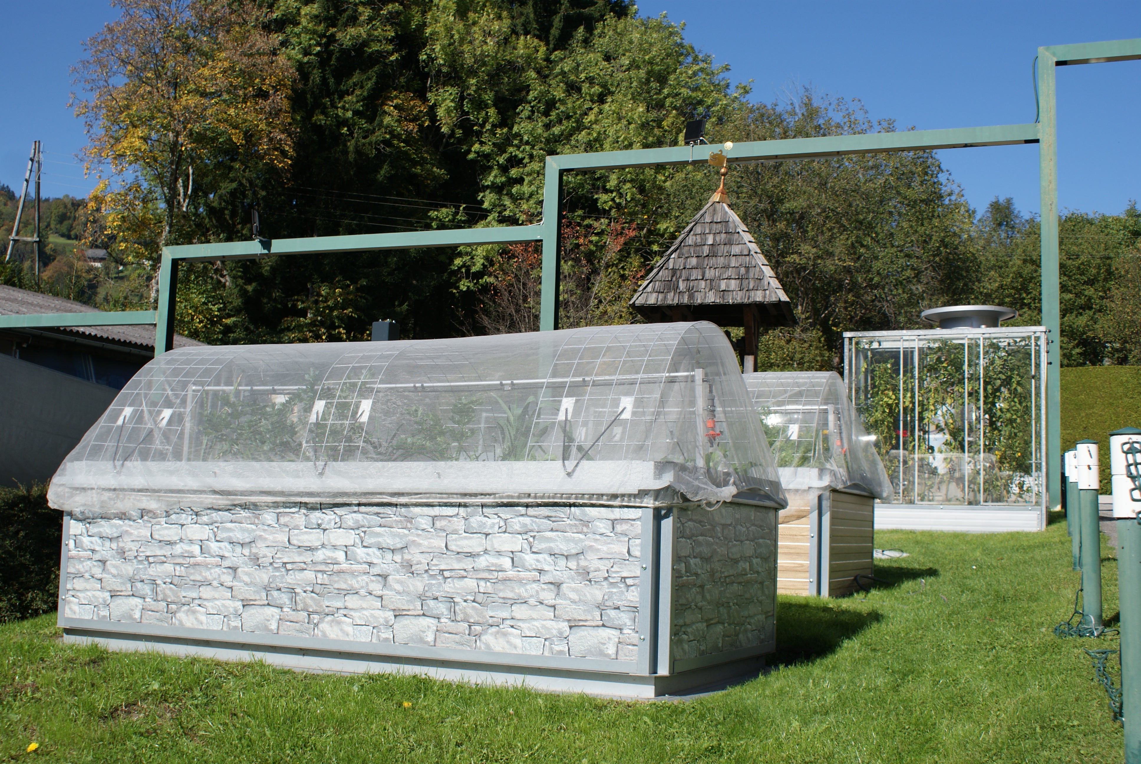 Agurk espalier