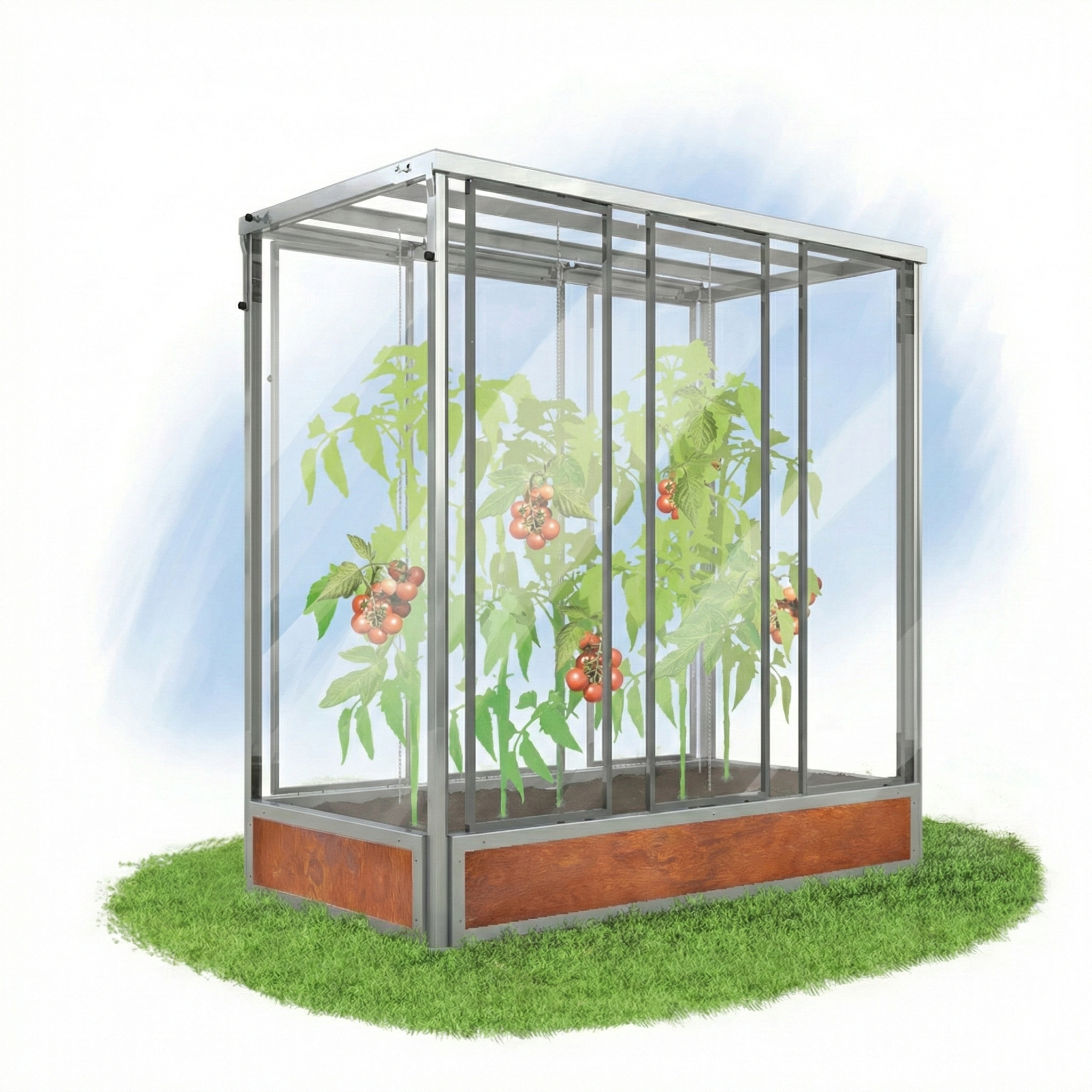 Grafik Tomatenhaus Julia mit Pflanzen