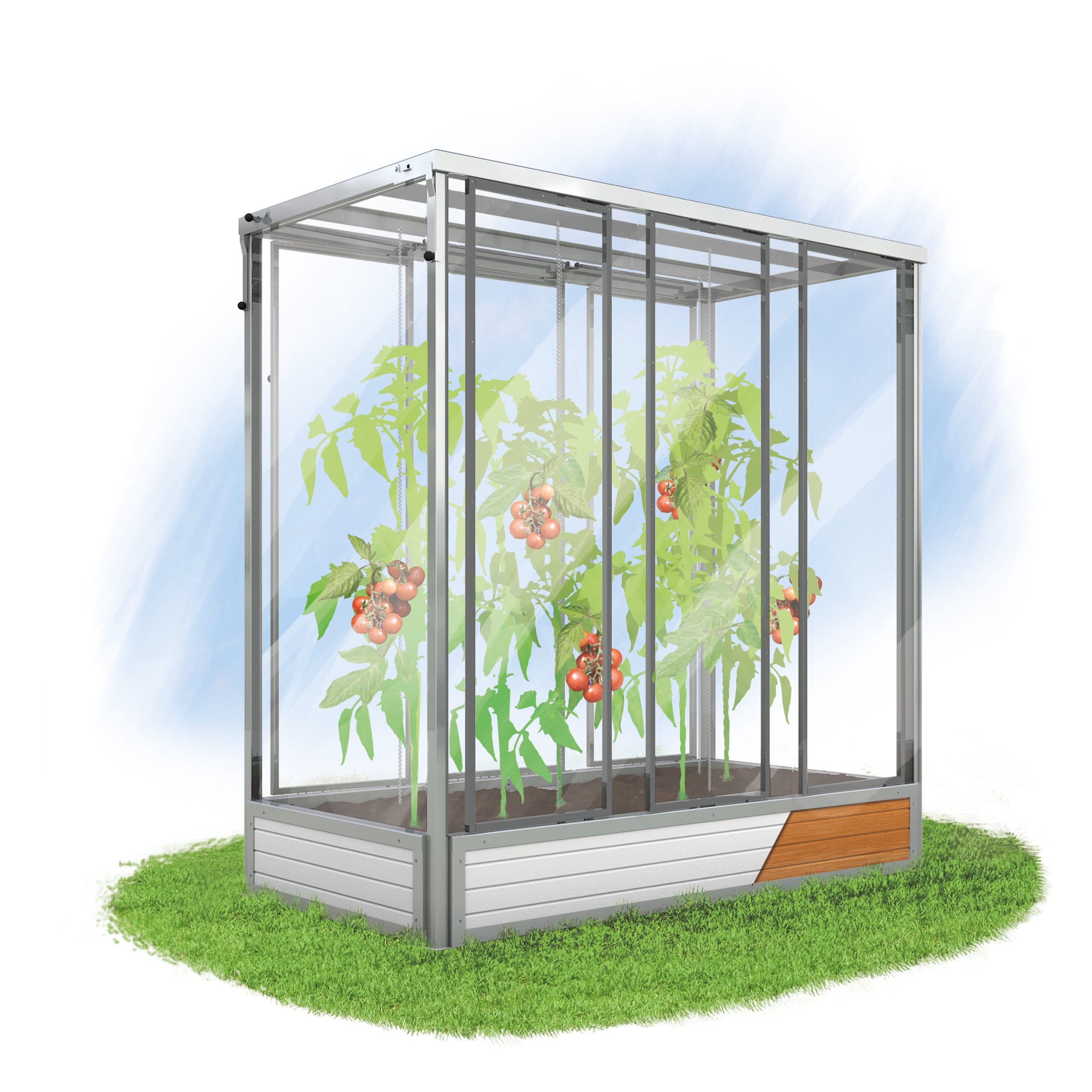 Grafik Tomatenhaus Julia