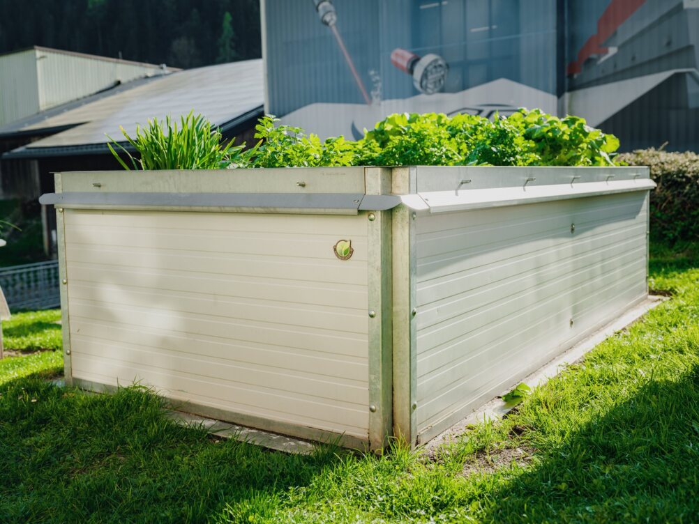 Raised bed set “Basic”