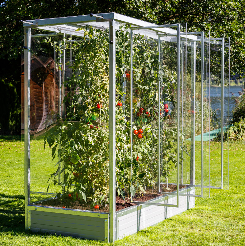 Tomato house "Julia"