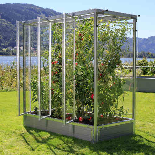 Tomato house "Julia"