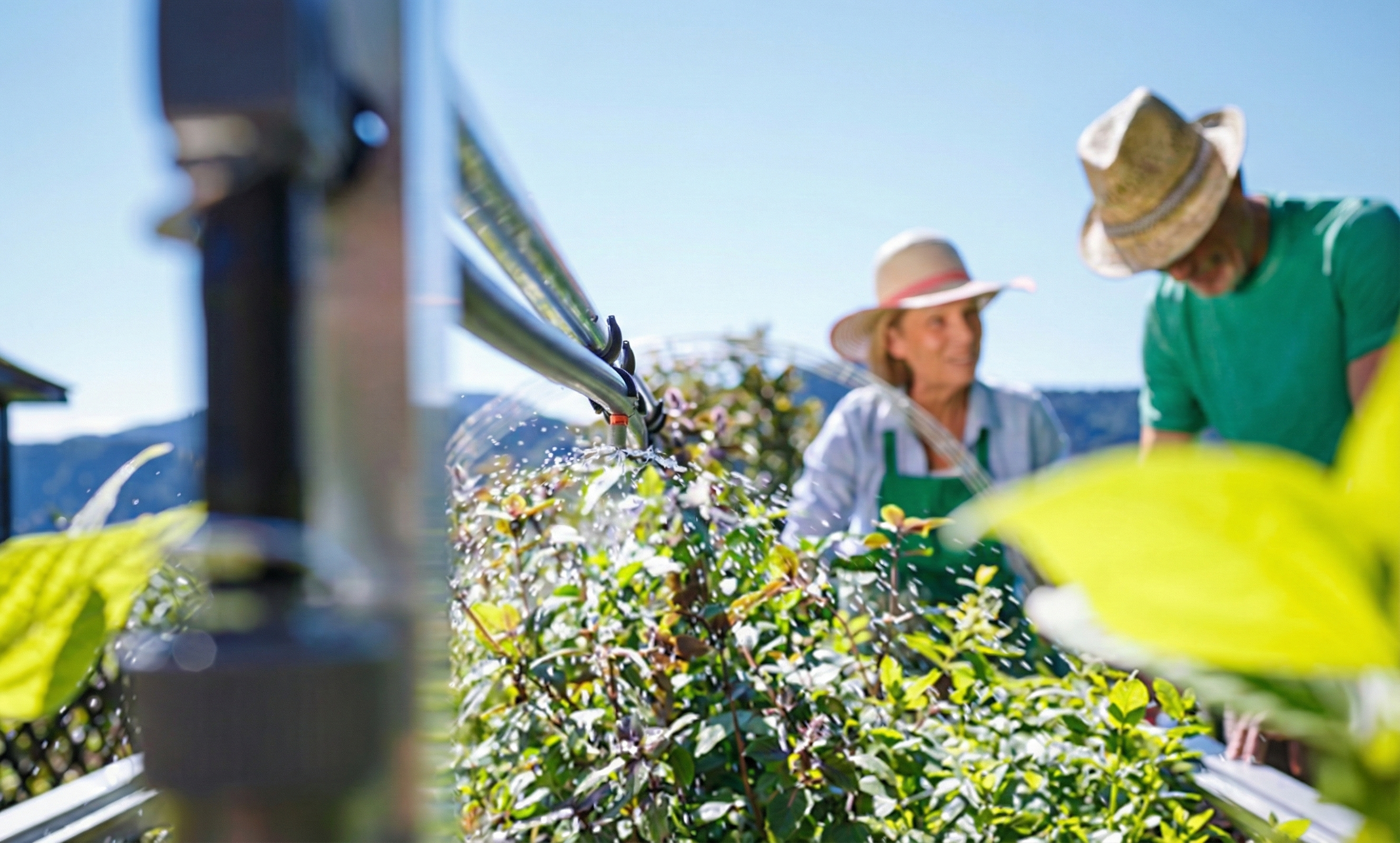 Hochbeet bewässern – Was Sie wüssen müssen!