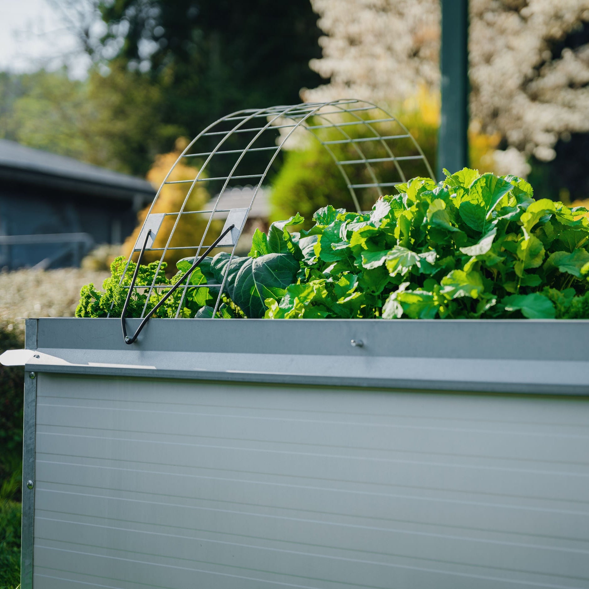 Hochbeet Set "Frühbeet"