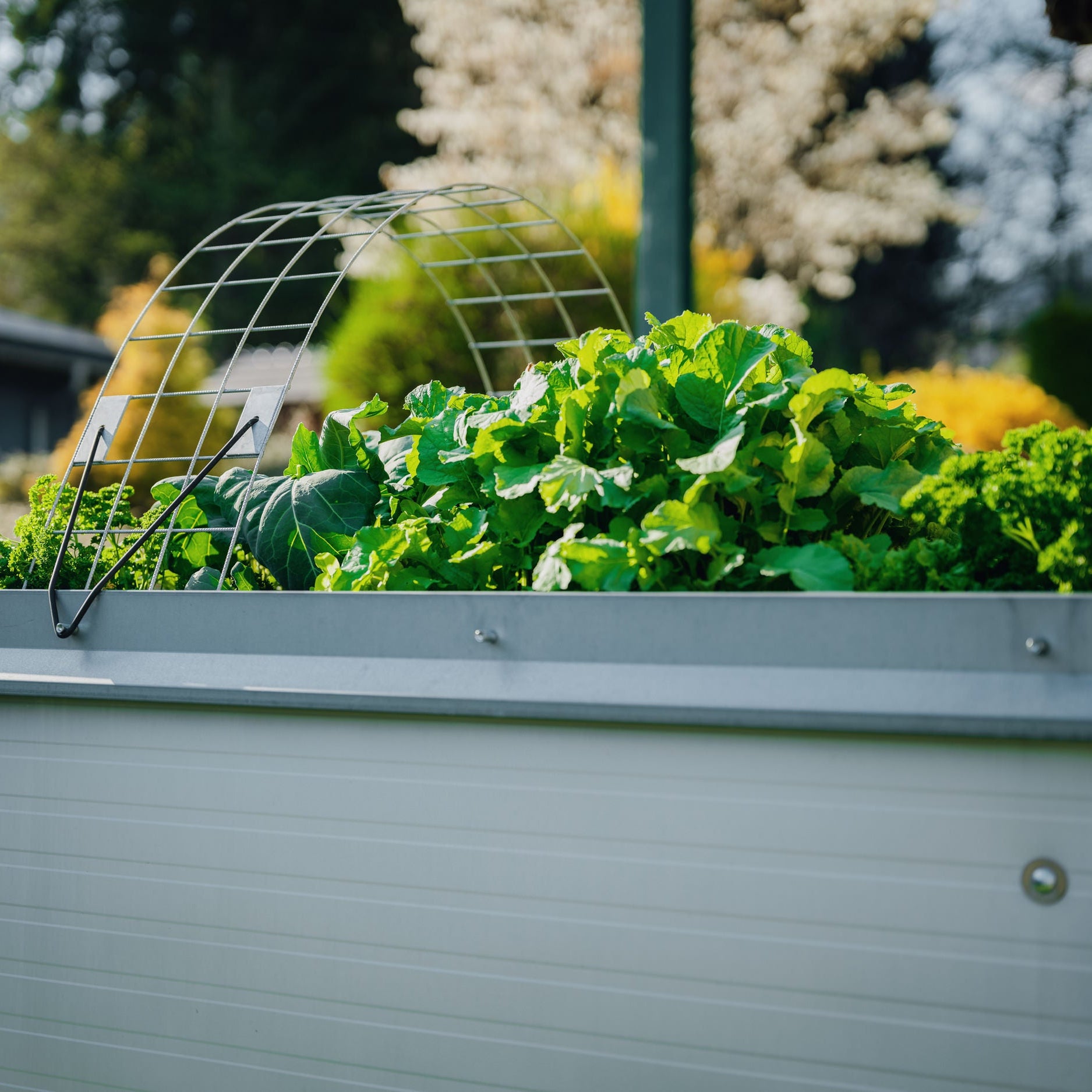 Raised bed set “cold frame”