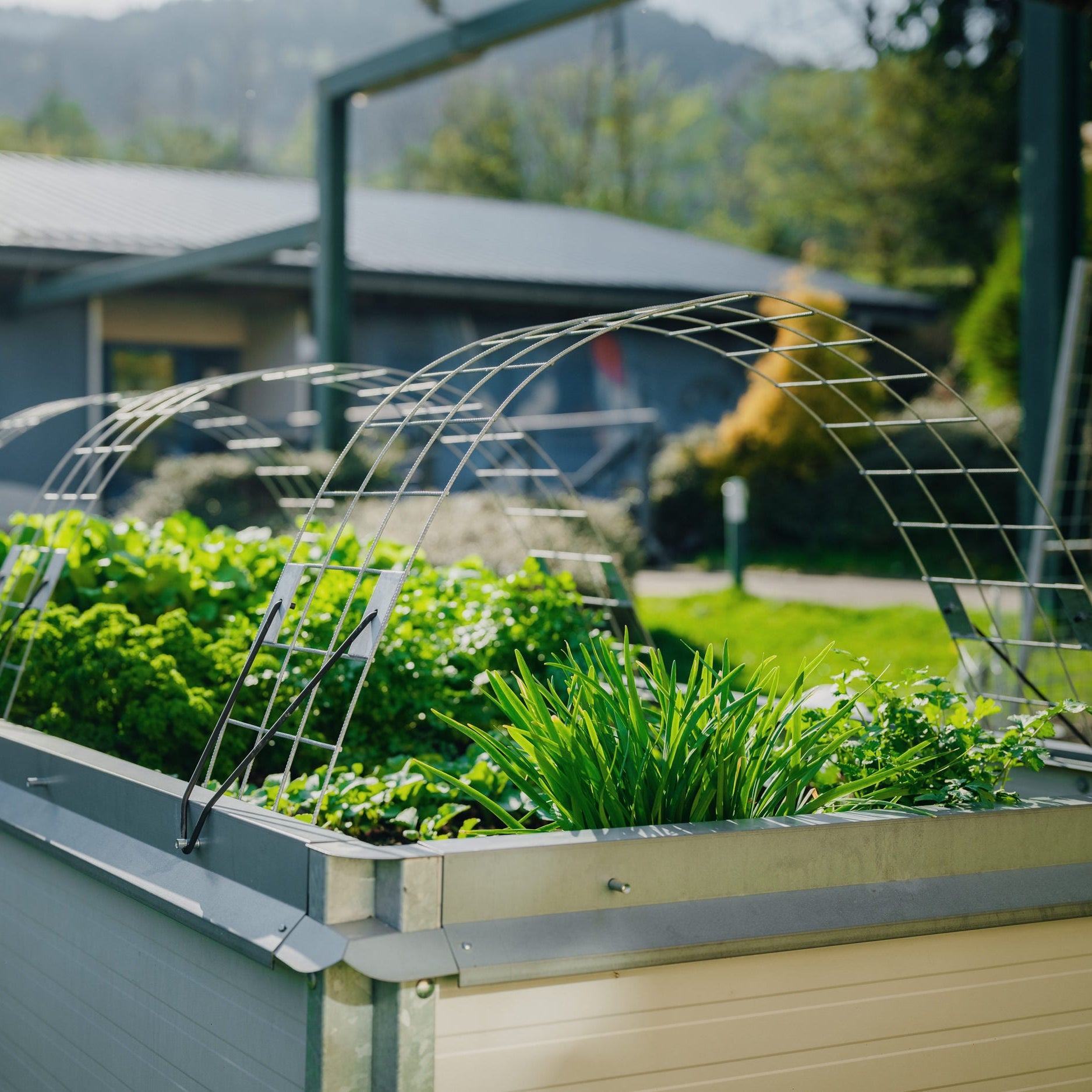 Raised bed set “Professional”