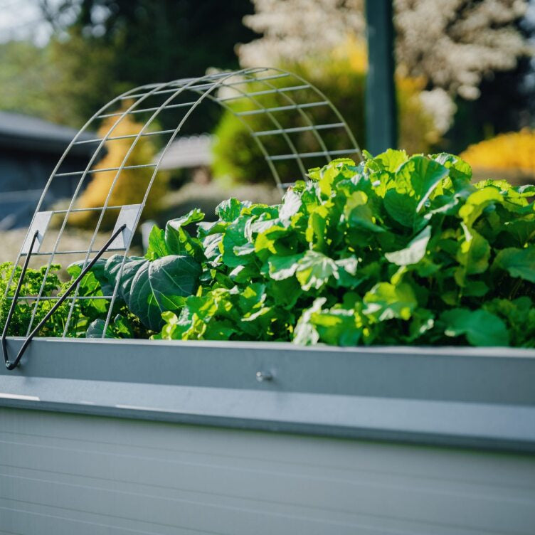 Raised bed set “cold frame”