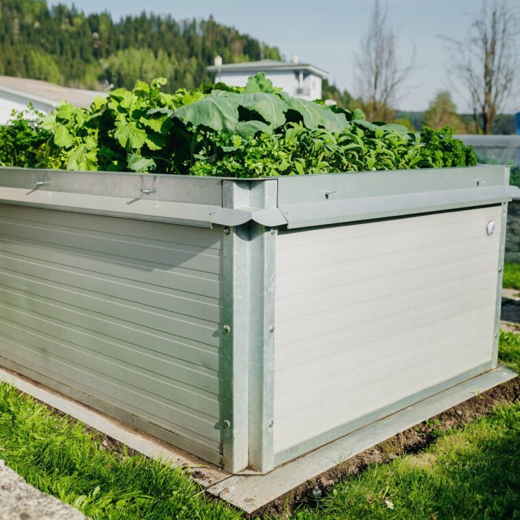 Raised bed set “Basic”