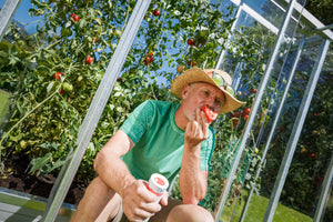 Mann mit Hut sitzt am Tomatenhaus und isst eine Tomate