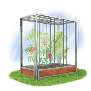 Grafik Tomatenhaus Julia mit Pflanzen