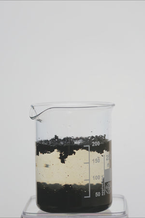 Video - Wachsendes Retentis