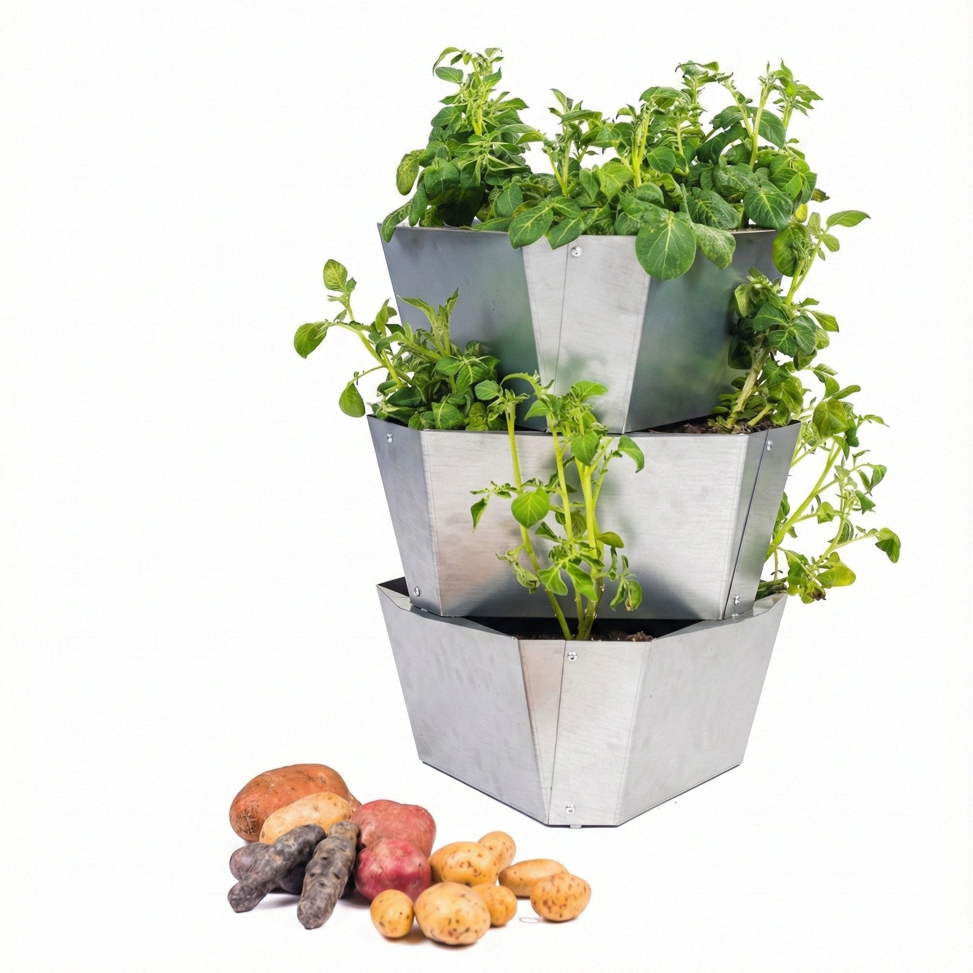 Kartoffelturm "Paul Potato"