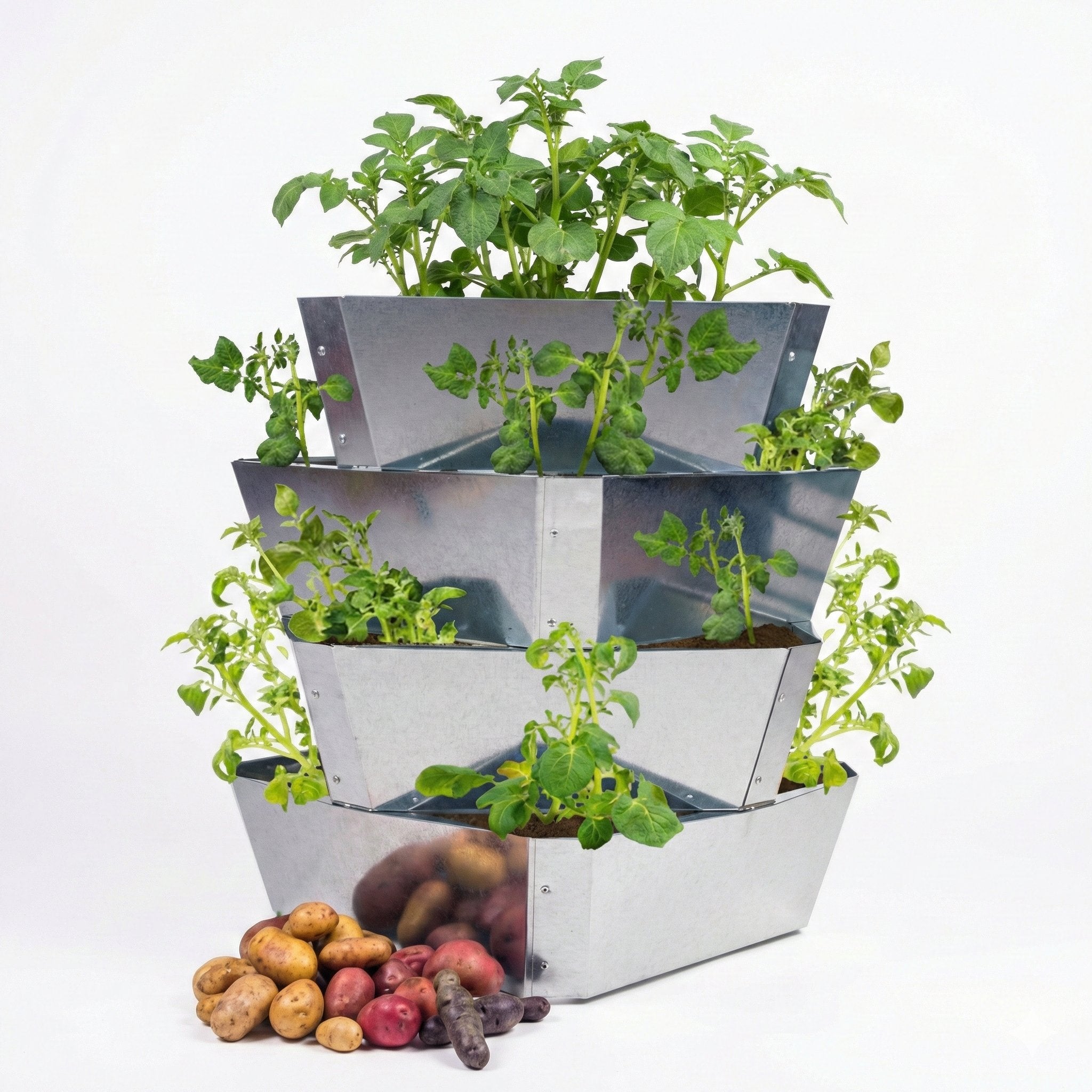 Kartoffelturm "Paul Potato"