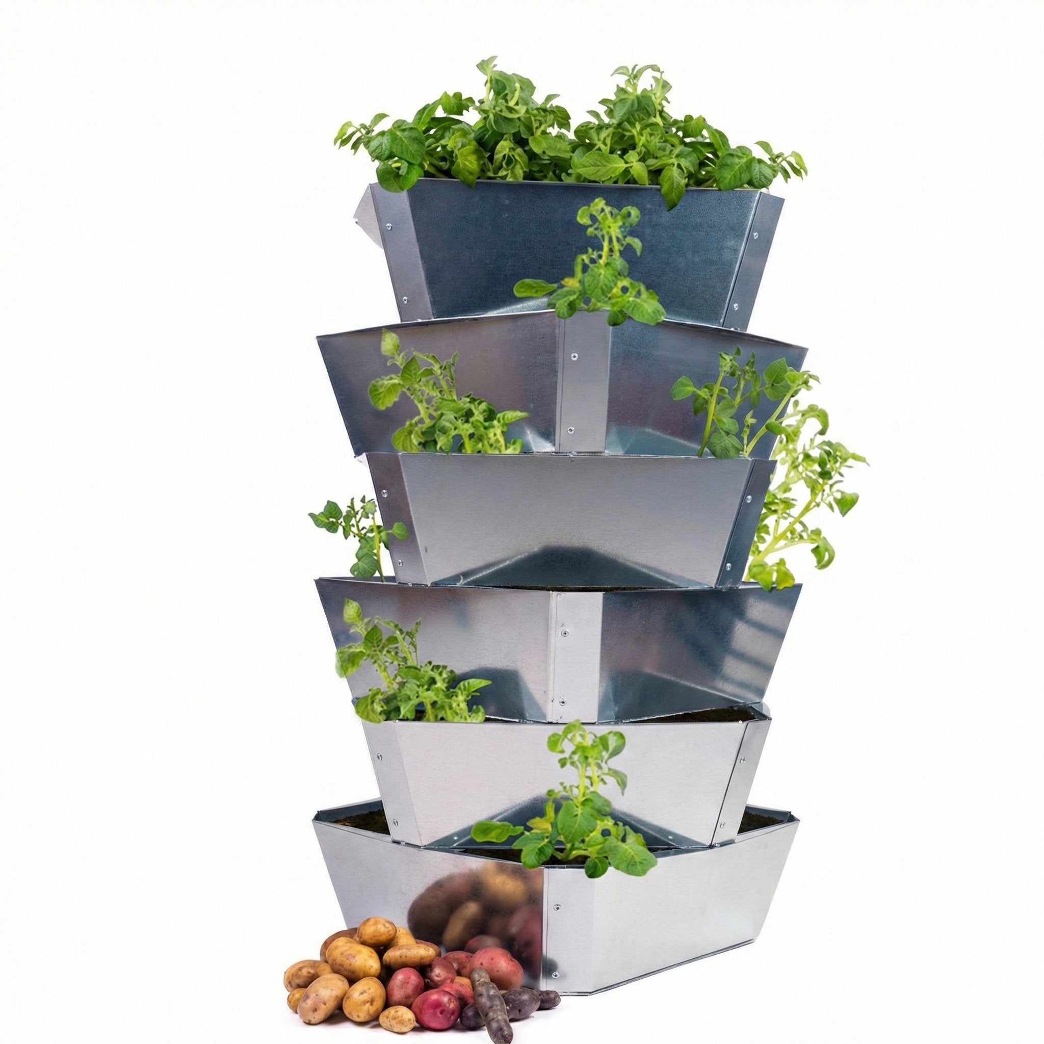 Kartoffelturm "Paul Potato"