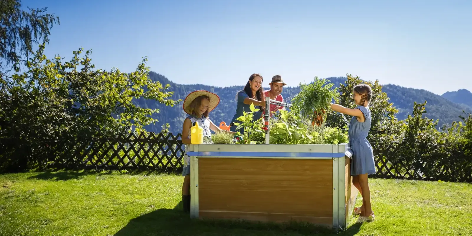 Familie erntet gemeinsam am Hochbeet Ursula