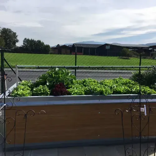 Hochbeet im Garten – Kundenfoto von E. Suppan