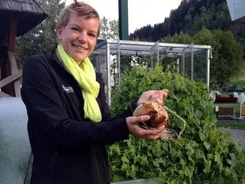 Riesige Zwiebel aus dem Hochbeet – Kundenfoto von Eva Maria aus Himmelberg