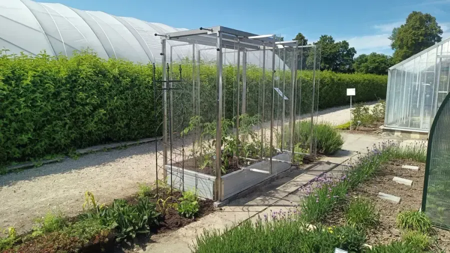 Tomatenhaus Julia in der Gartenausstellung