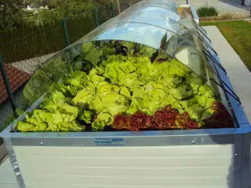 Hochbeet im Garten – Kundenfoto von Michael