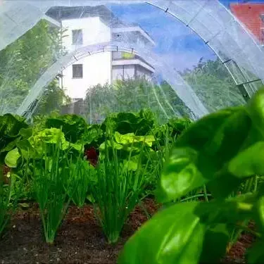 Hochbeet im Garten – Kundenfoto von Silke Pukropski