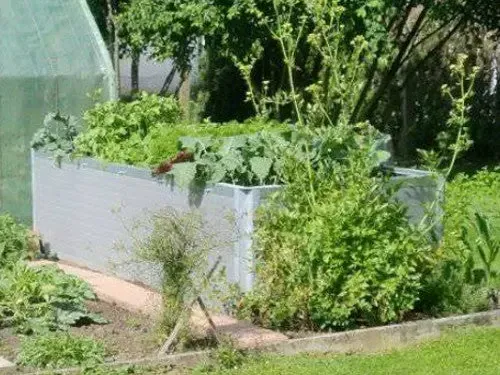 Hochbeet Ursula im Garten – Kundenfoto von Wolfgang und Sieglinde Haas