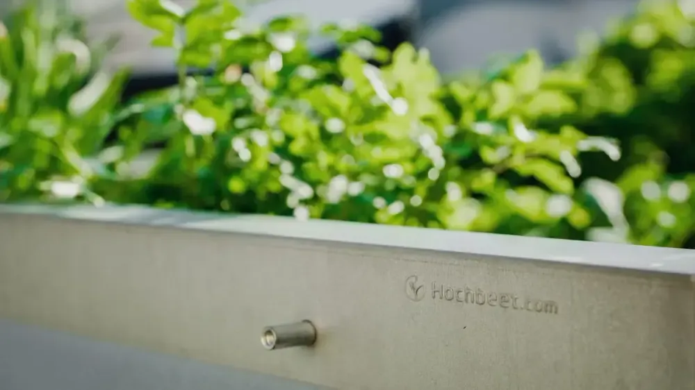 Nahaufnahme eines Metall-Hochbeets von Hochbeet.com mit üppig wachsenden Pflanzen