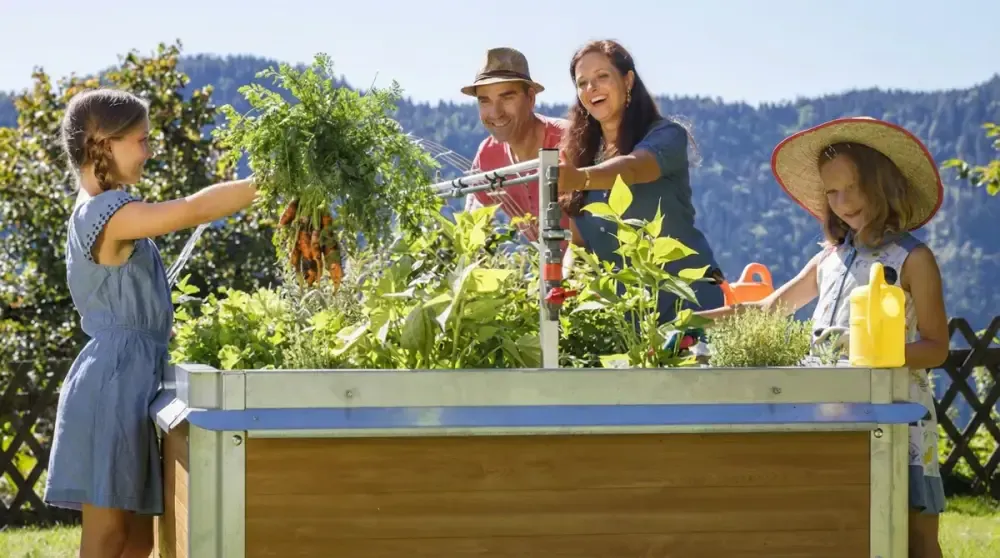 Familie erntet gemeinsam Karotten an einem Hochbeet