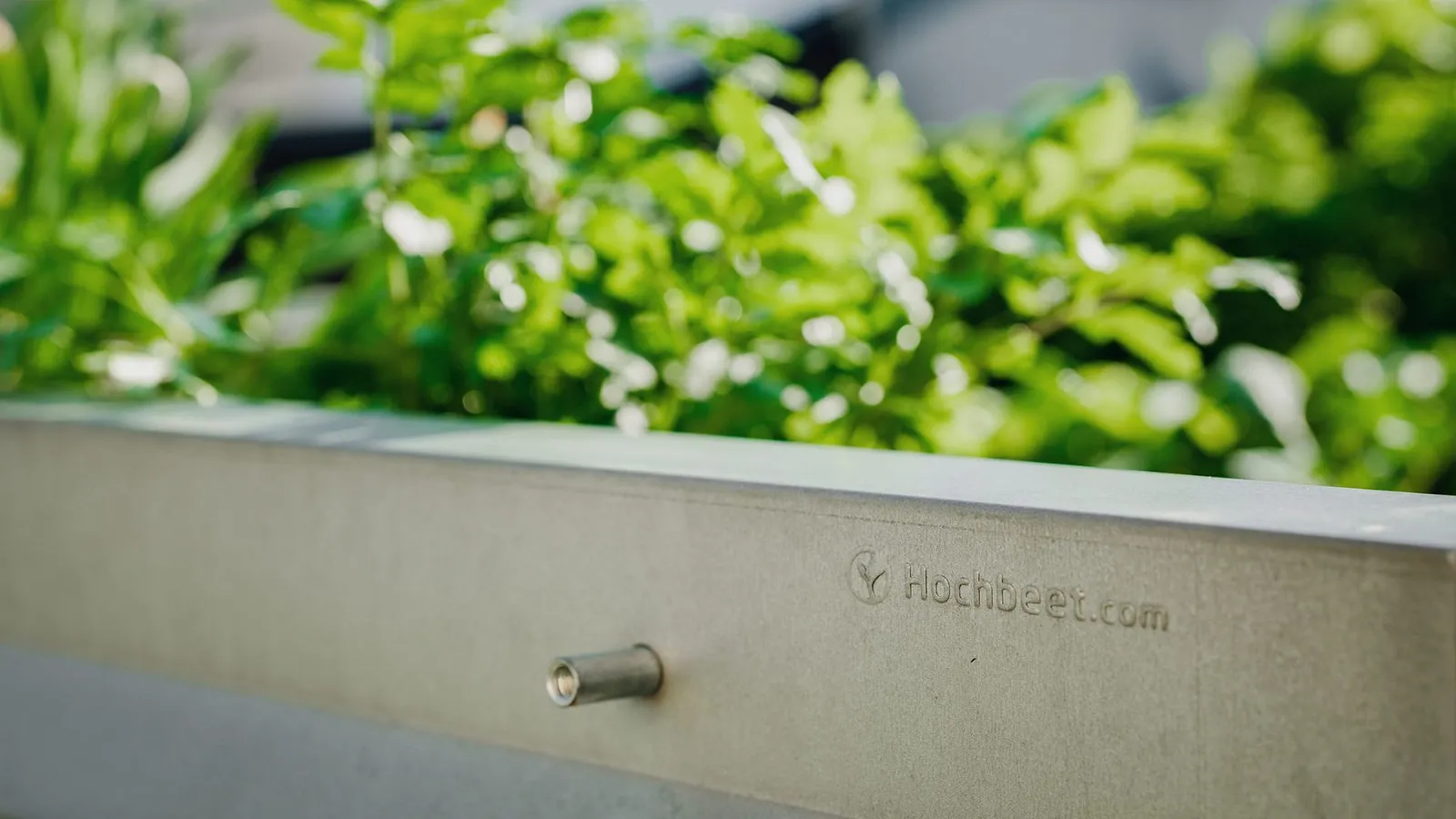 Nahaufnahme der Hochbeet-Kante mit eingeprägtem Hochbeet.com-Schriftzug