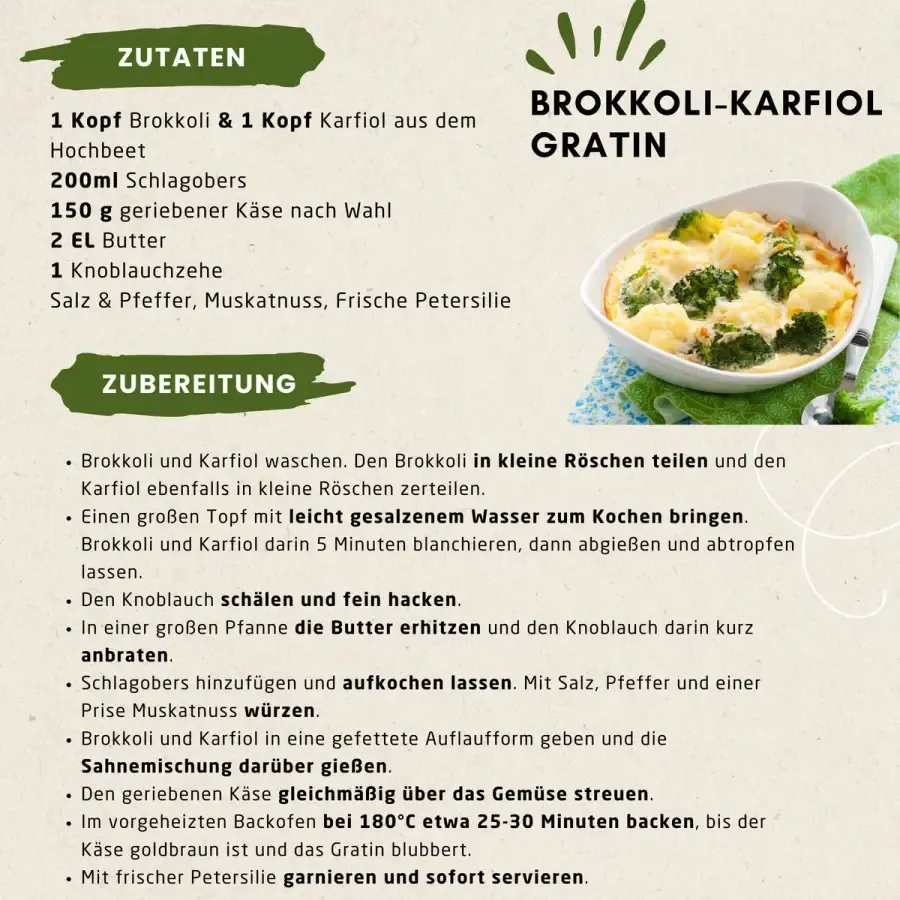 Rezept: Grüne Power: Selbstgemachtes Gratin aus dem eigenen Garten 🌿